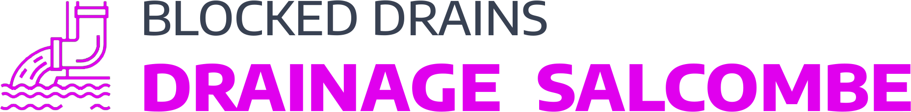 website logo